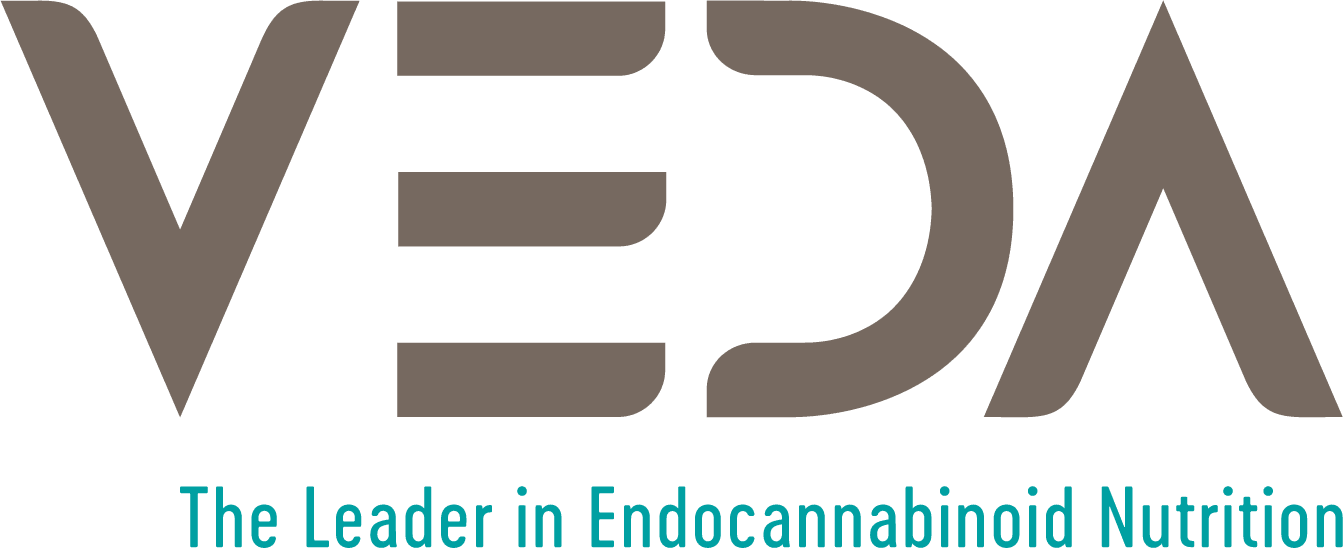 Footer-logo Clipart (1343x548), Png Download