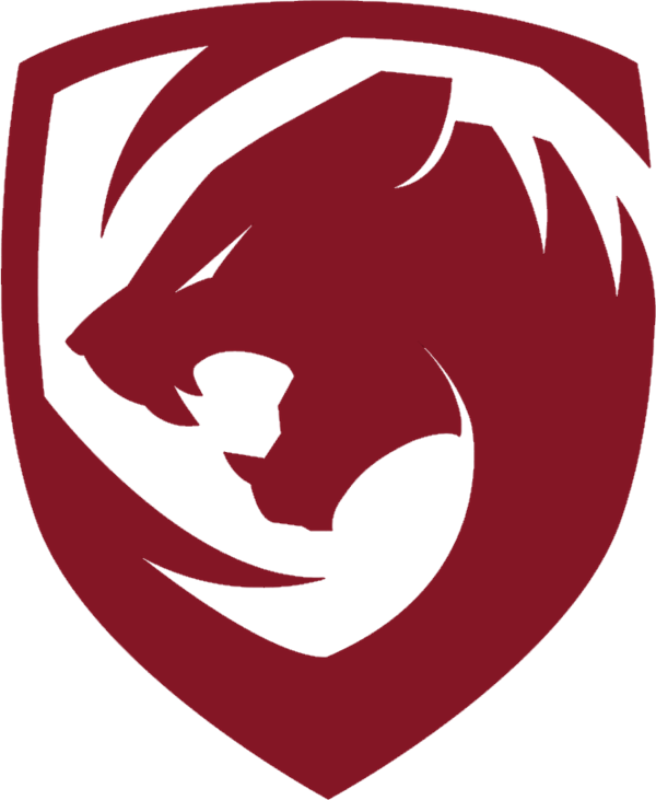 Dota 2 Logo Png - Team Tigers Dota 2 Clipart (600x731), Png Download
