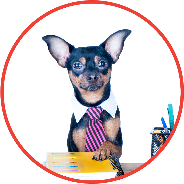 Office Products - Chihuahua Clipart (768x768), Png Download