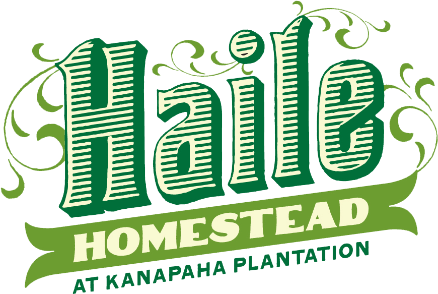 Graphic Design Clipart (900x617), Png Download