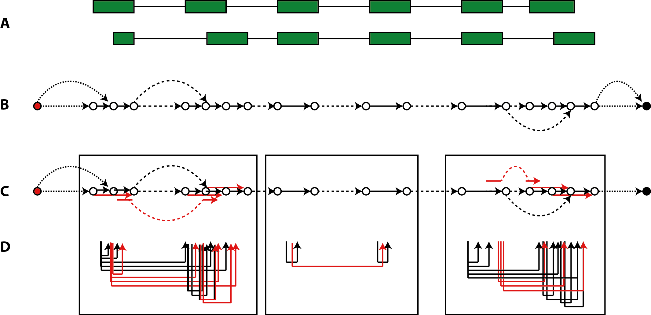 Segment Graph Inferred On An Alternatively Spliced Clipart (2131x1032), Png Download