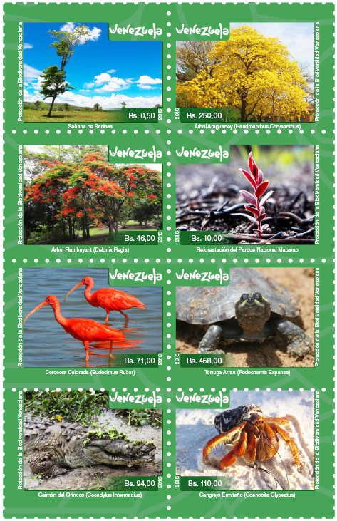Hoja De Estampillas Emisiónn Protección De La Biodiversidad - Tree Clipart (1280x800), Png Download