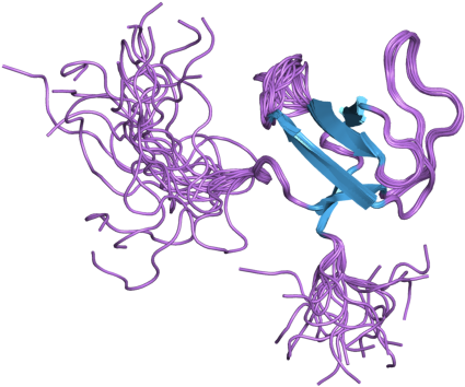 Megakaryocyte - Illustration Clipart (800x600), Png Download