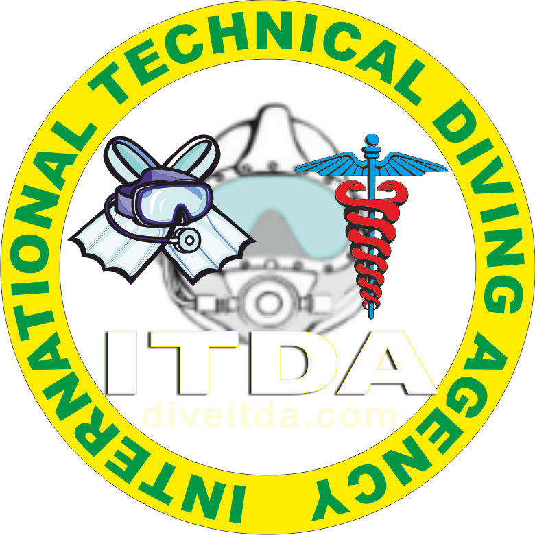 New Usb Logo As Png - Universidad Tecnologica De Escuinapa Clipart (780x780), Png Download