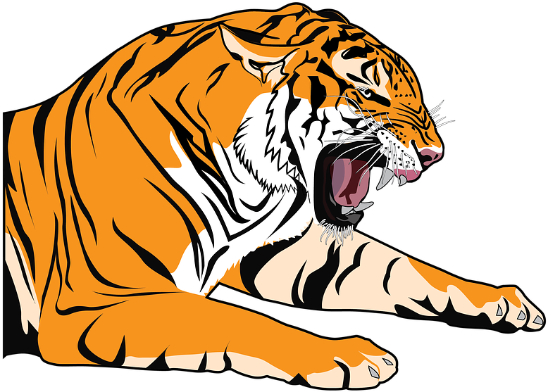 Kükreyen Kaplan Png - Desenho De Tigre Para Colorir Clipart (960x678), Png Download