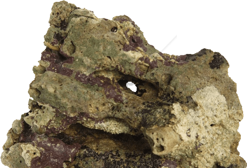 Free Png Rocas De Mar Png Image With Transparent Background - Roca Viva Clipart (850x549), Png Download