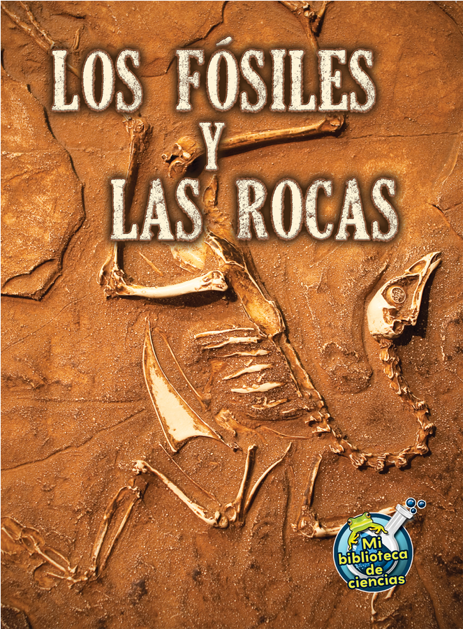 Tcr173117 Los Fosiles Y Las Rocas Image - Fossils In Sandstone Clipart (900x900), Png Download