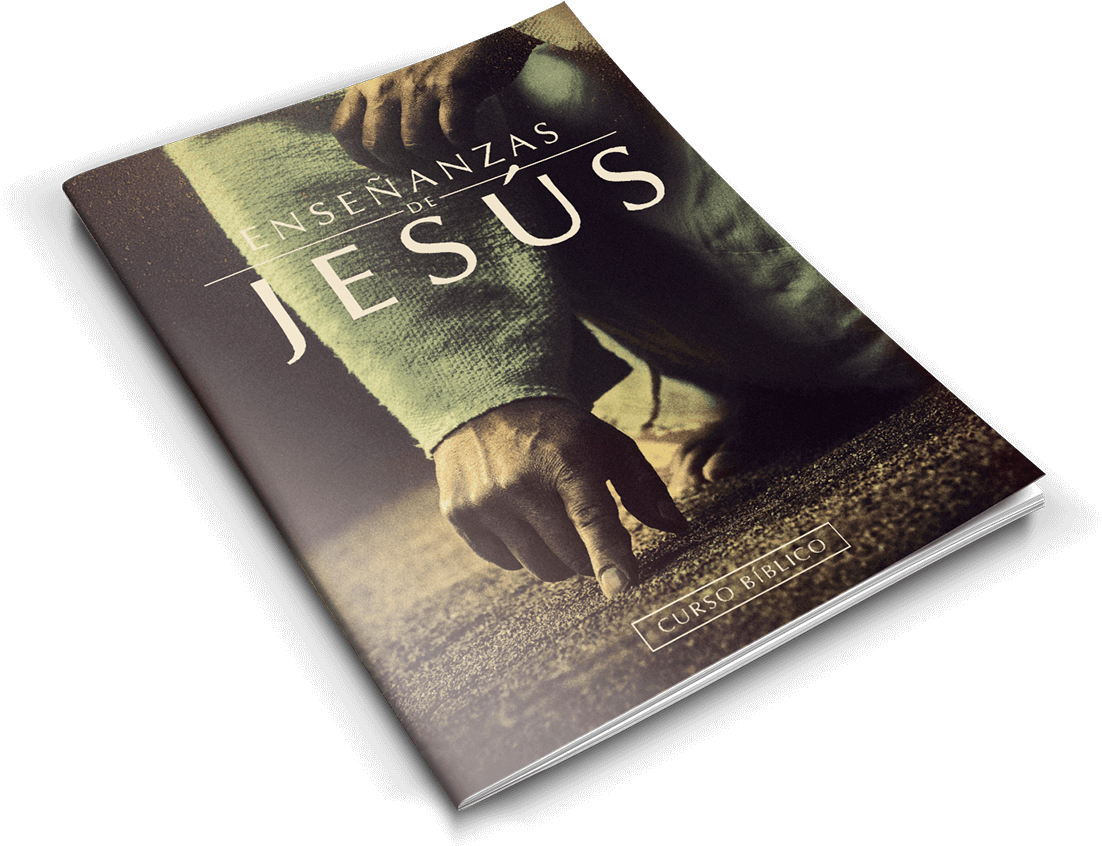 ¿cómo Quieres Estudiar Este Curso - Biblia Fácil Ensinos De Jesus Clipart (1110x851), Png Download