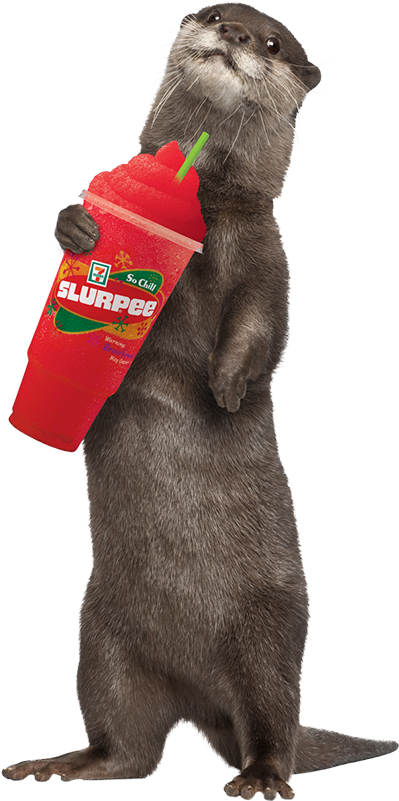 In Canada, The Average Slurpee Drinker Is A 30 Year - Sea Otter Standing Up Clipart (399x801), Png Download