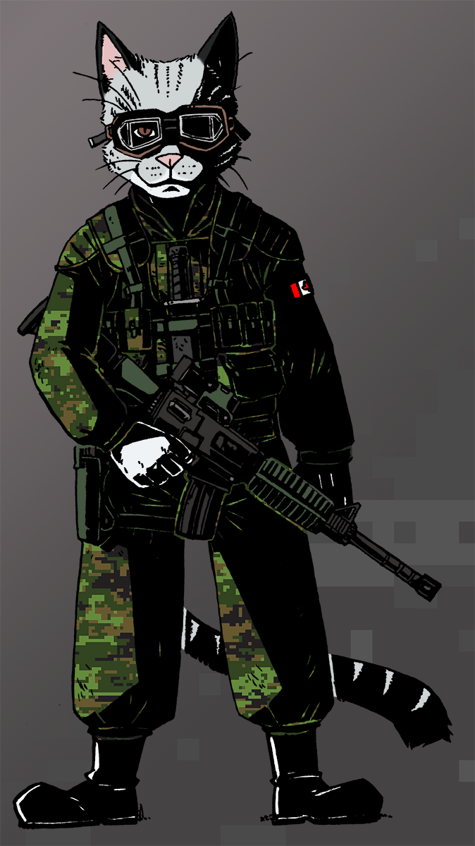 Ransom Is A Rifle Cat In The Canadian Reserves, And - Soldier Clipart (674x1200), Png Download