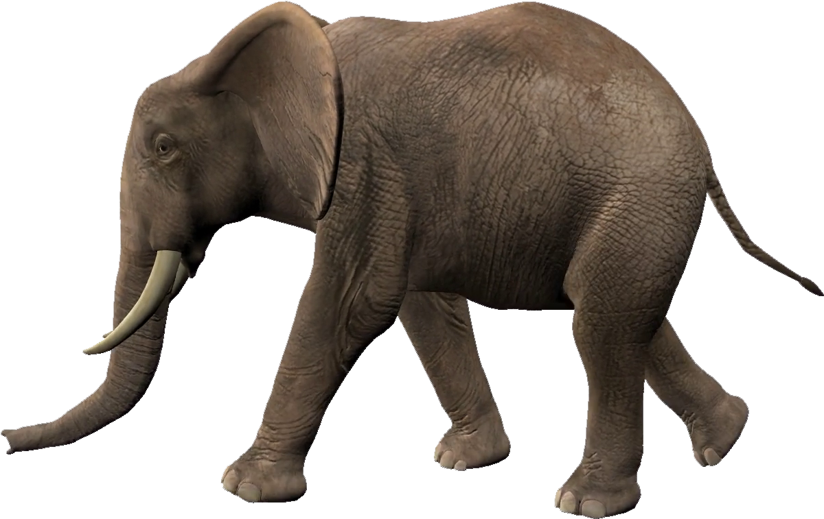 Elephant Walking Animation Clipart (1920x1080), Png Download