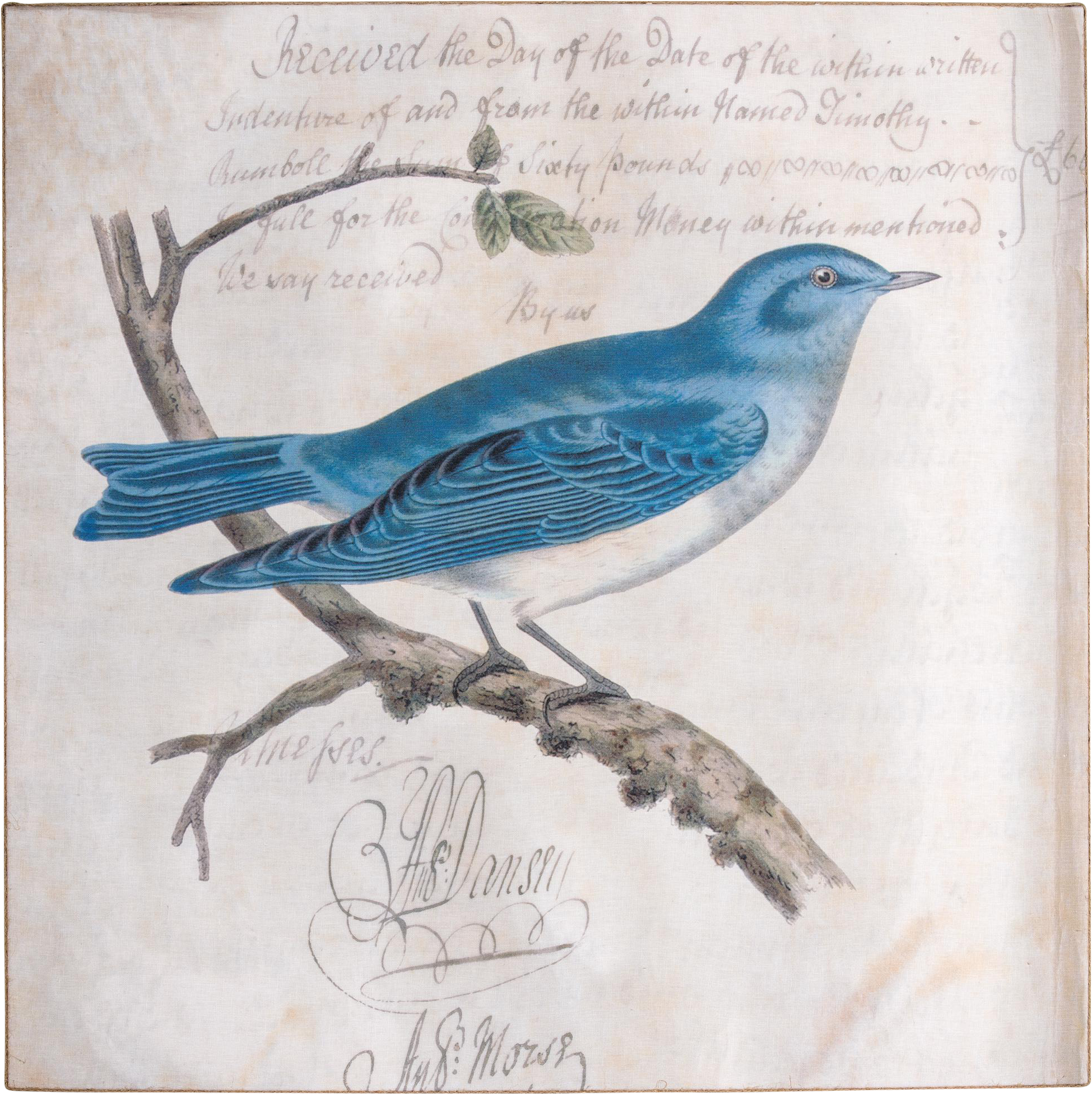Idaho Drawing Mountain Bluebird - Vintage Illustrations Birds Public Domain Clipart (2164x2168), Png Download