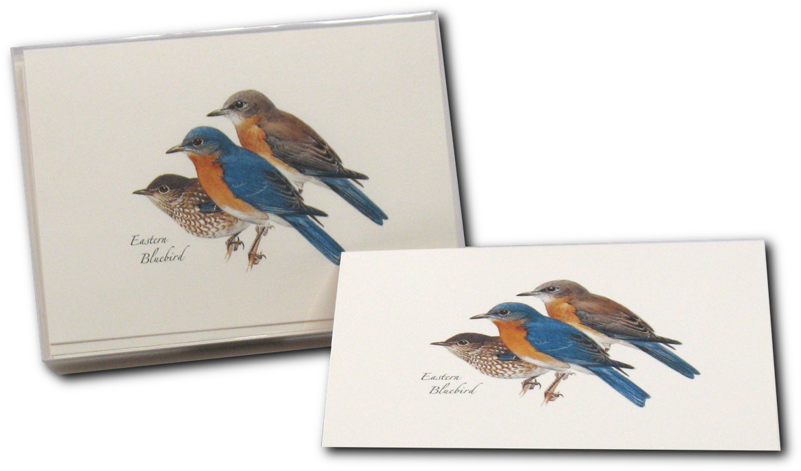 Shopping Cart -  -  Clipart (1200x1200), Png Download