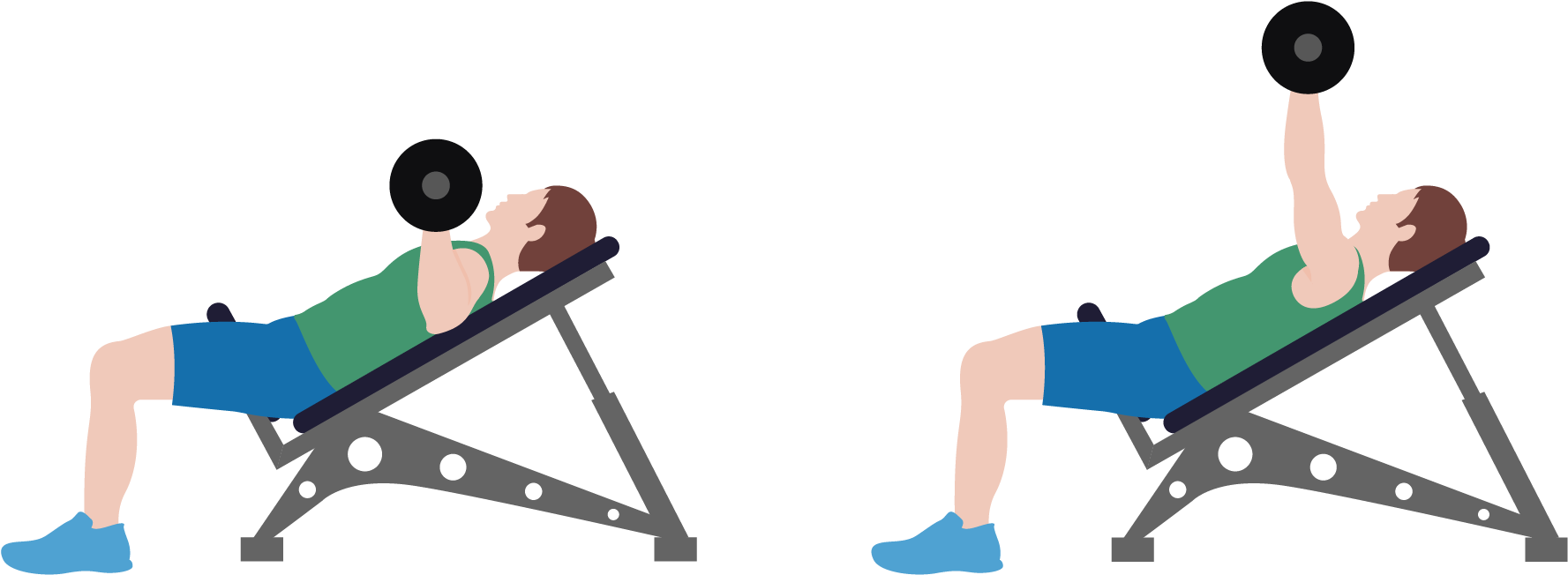 Dumbbells Clipart Bench Press Bar , Png Download - Bench Press Clipart Transparent Png (1777x652), Png Download