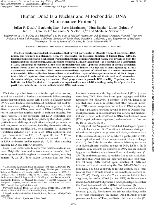 Pdf - Iseult And King Mark Embracing Clipart (585x783), Png Download