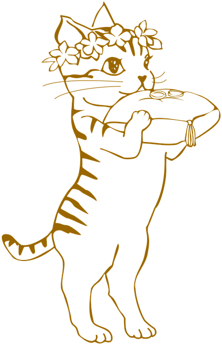 Cat Kids Wedding Wedding Rings Ring Girl Marriage - Marriage Clipart (540x720), Png Download