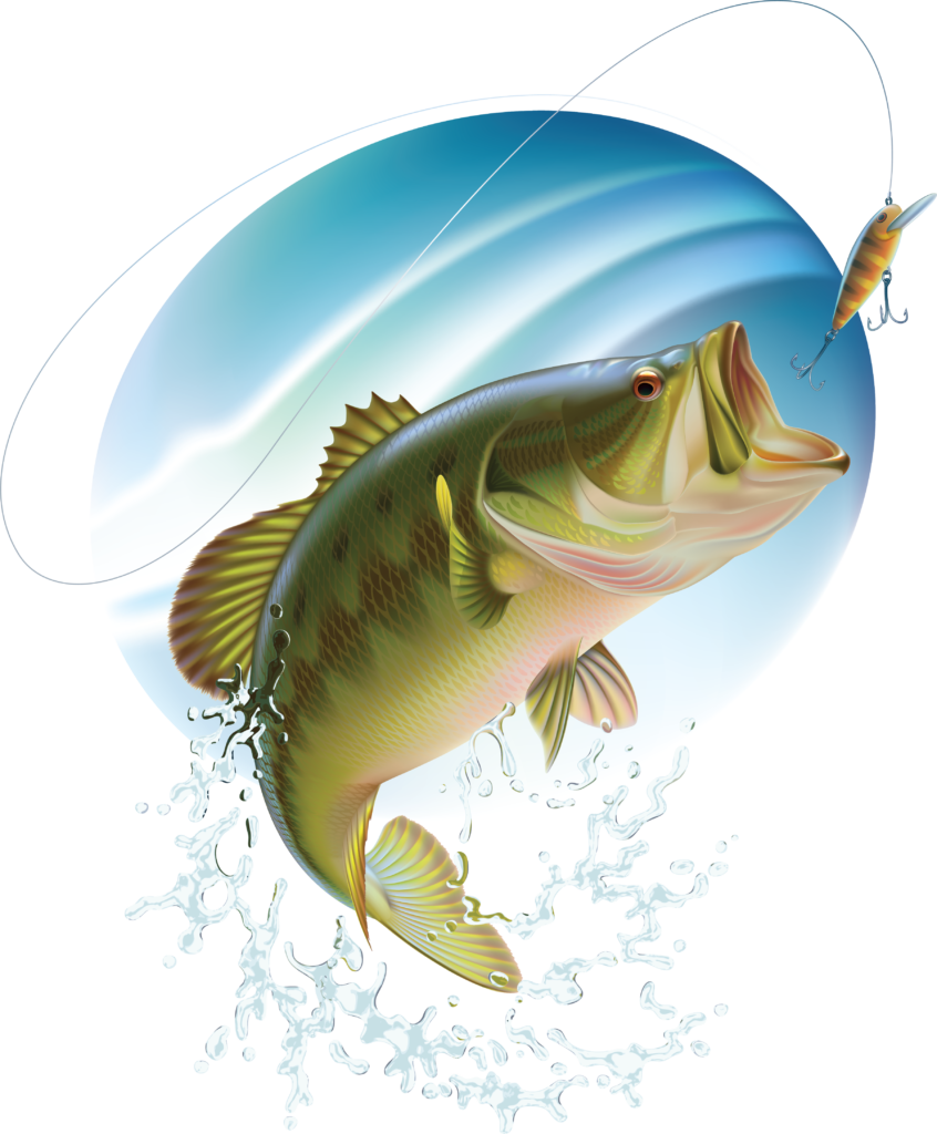 Largemouth Bass Drawing Clipart (846x1024), Png Download