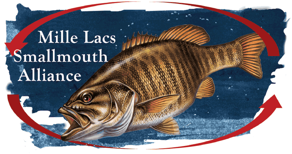 Presented By The Mille Lacs Smallmouth Alliance - Smallmouth Bass Clipart (940x788), Png Download