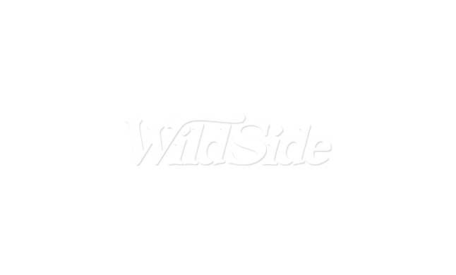 I Believe Bigfoot & Unicorn - Stallion Clipart (675x675), Png Download