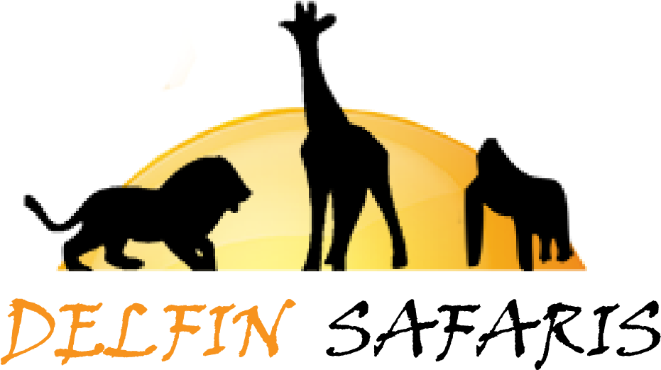 Home - Giraffe Clipart (939x570), Png Download