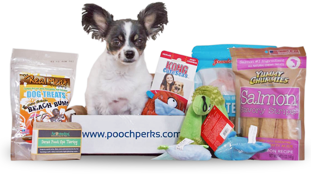 *durable Is Not Designed For Heavy/extreme Chewers - Pooch Perks Box Clipart (1001x562), Png Download