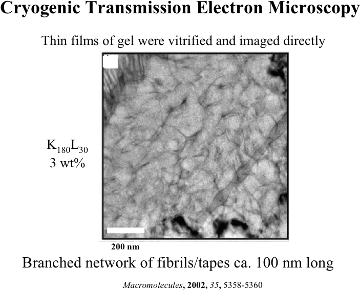Brain2 , Scaffolds2 - Medical Imaging Clipart (706x579), Png Download