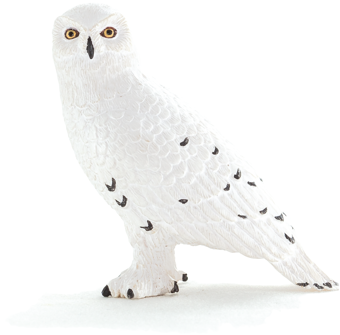 Sail Clipart (5616x3744), Png Download