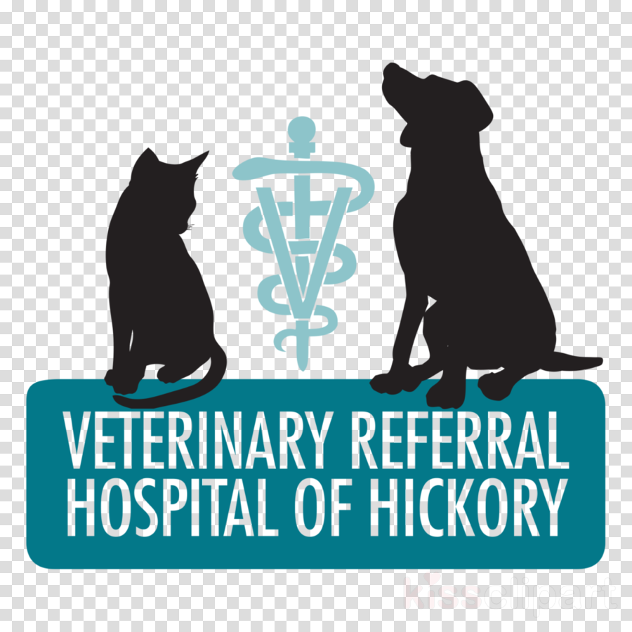 Veterinary Medicine Clipart Cat Dog Veterinary Referral - Png Download (900x900), Png Download