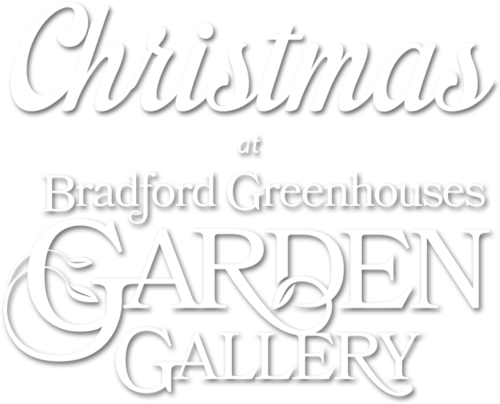 Christmas - Butik Clipart (864x595), Png Download