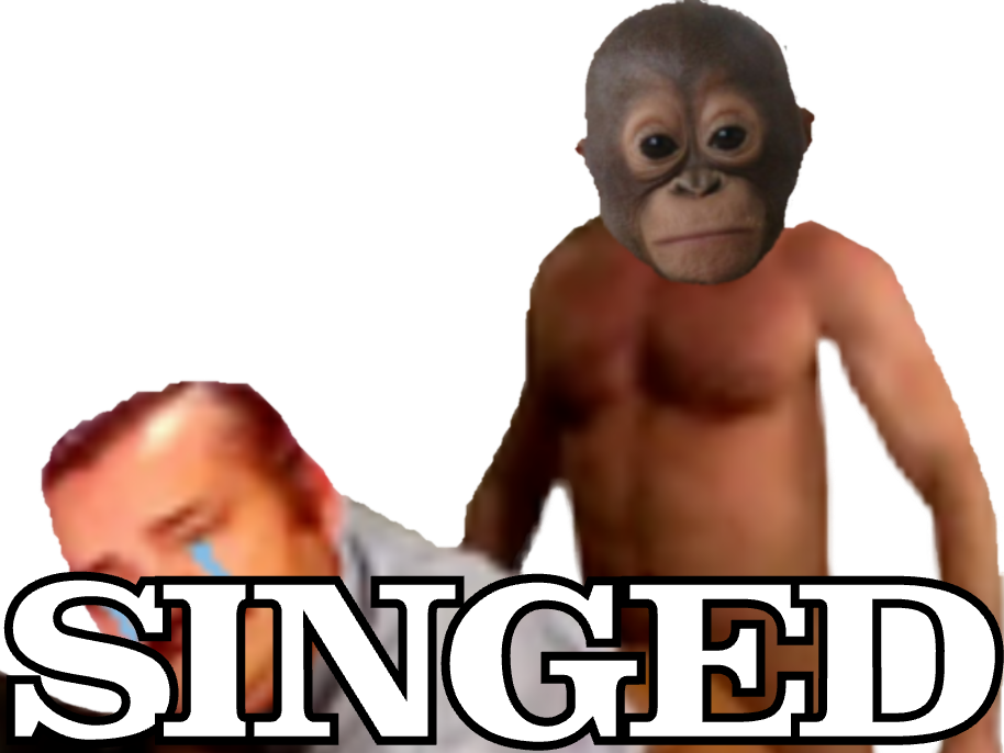 10922890 - Macaque Clipart (914x686), Png Download