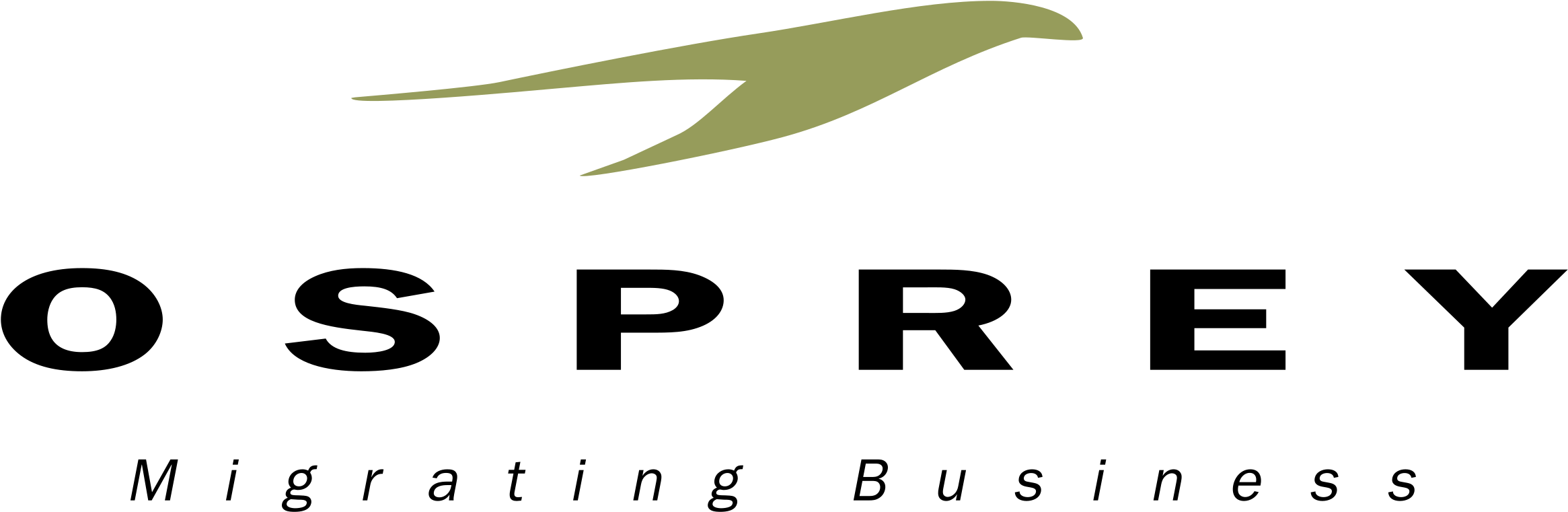 Osprey Logo Png Transparent - Osprey Clipart (2400x2400), Png Download
