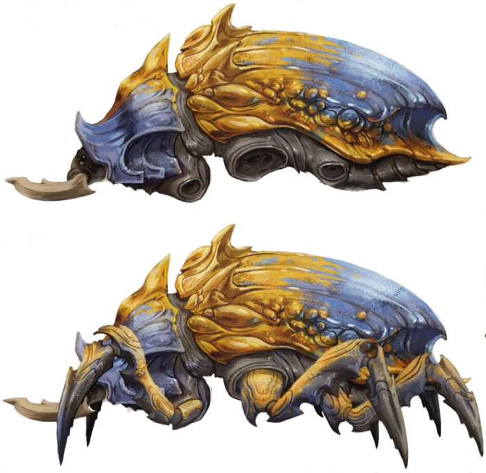 Ngi-shalck - Dragon Clipart (700x680), Png Download