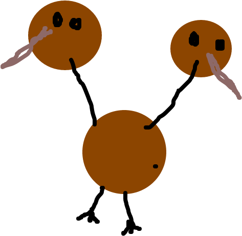Doduo - Cartoon Clipart (1020x608), Png Download