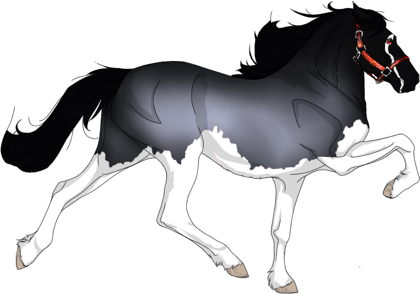 Gulastra Plume Black Horse Clipart (900x600), Png Download