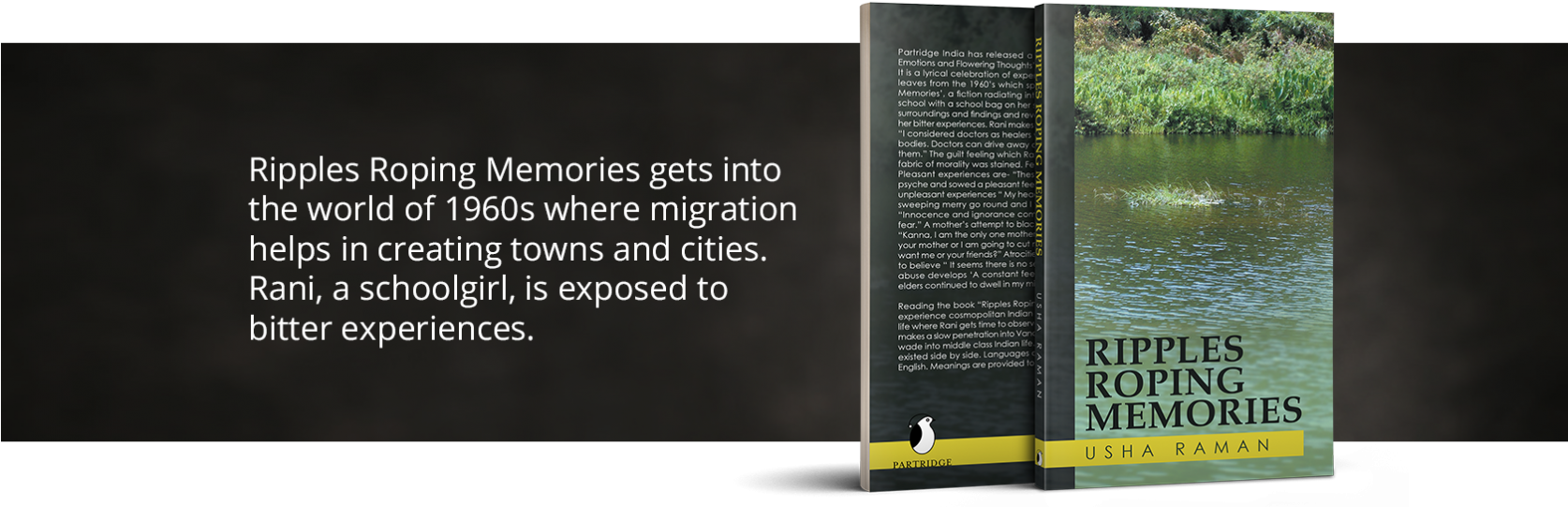 Brochure , Png Download - Parrot Clipart (1674x541), Png Download