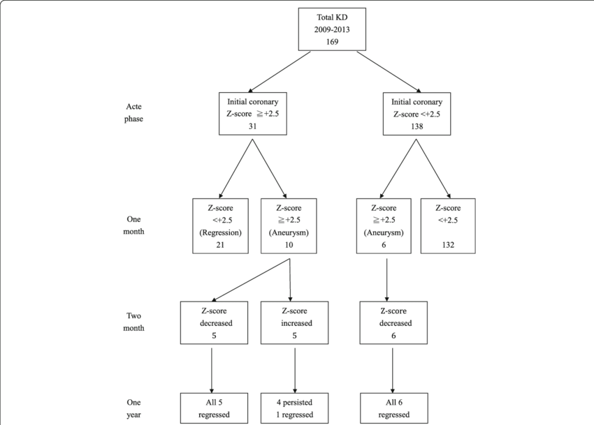 Flowchart Of Coronary Follow-up Of 169 Patients With - Monochrome Clipart (850x609), Png Download