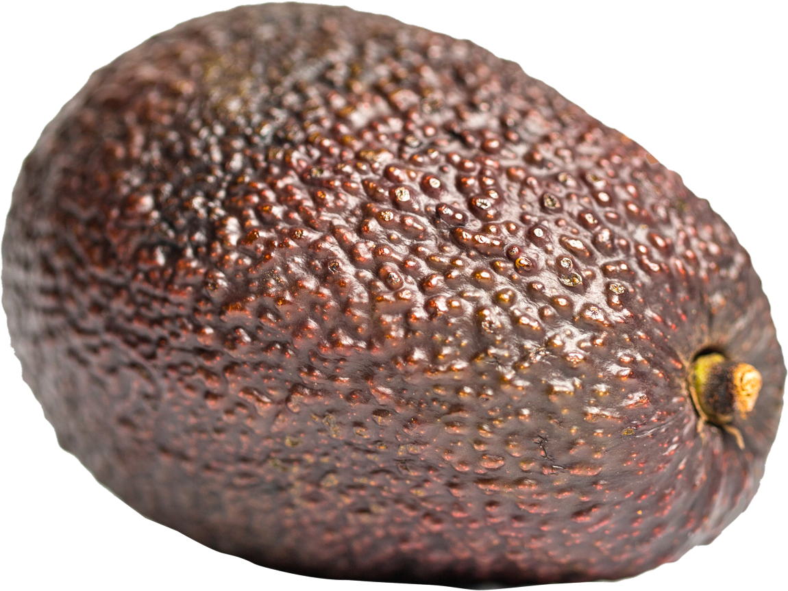 Image - Brown Avocado Png Clipart (1190x903), Png Download