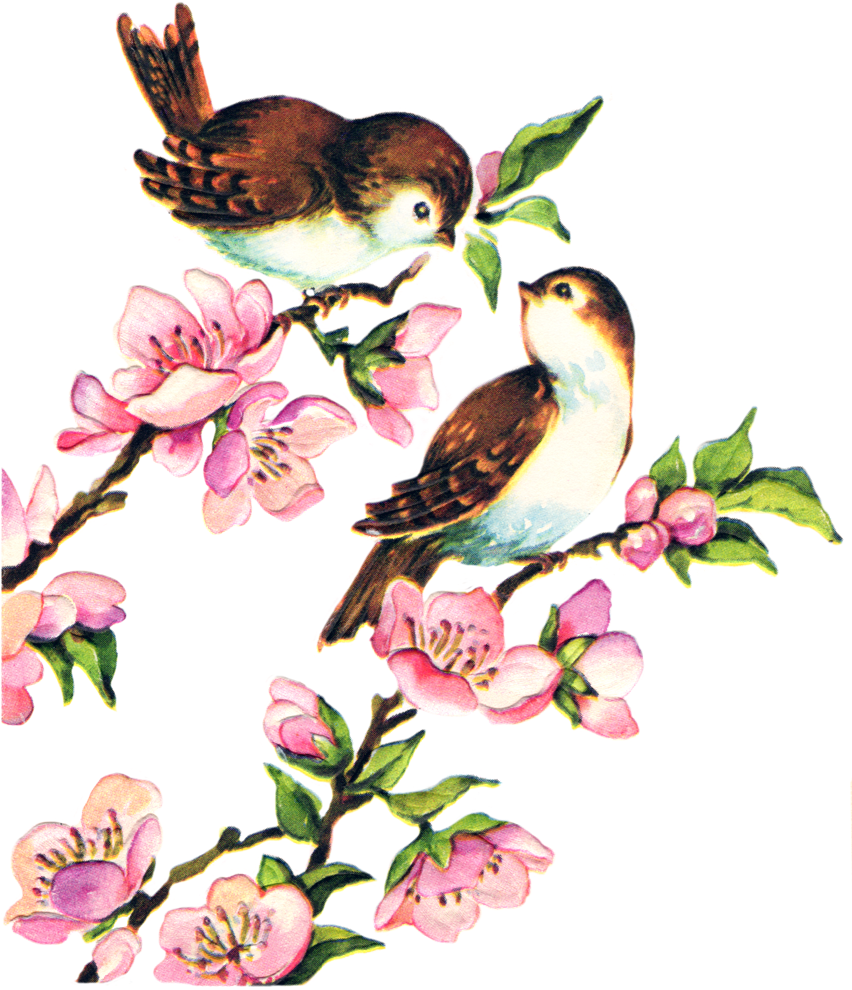 Free Collage Sheet Vintage Birds Fptfy Clipart (1676x1946), Png Download