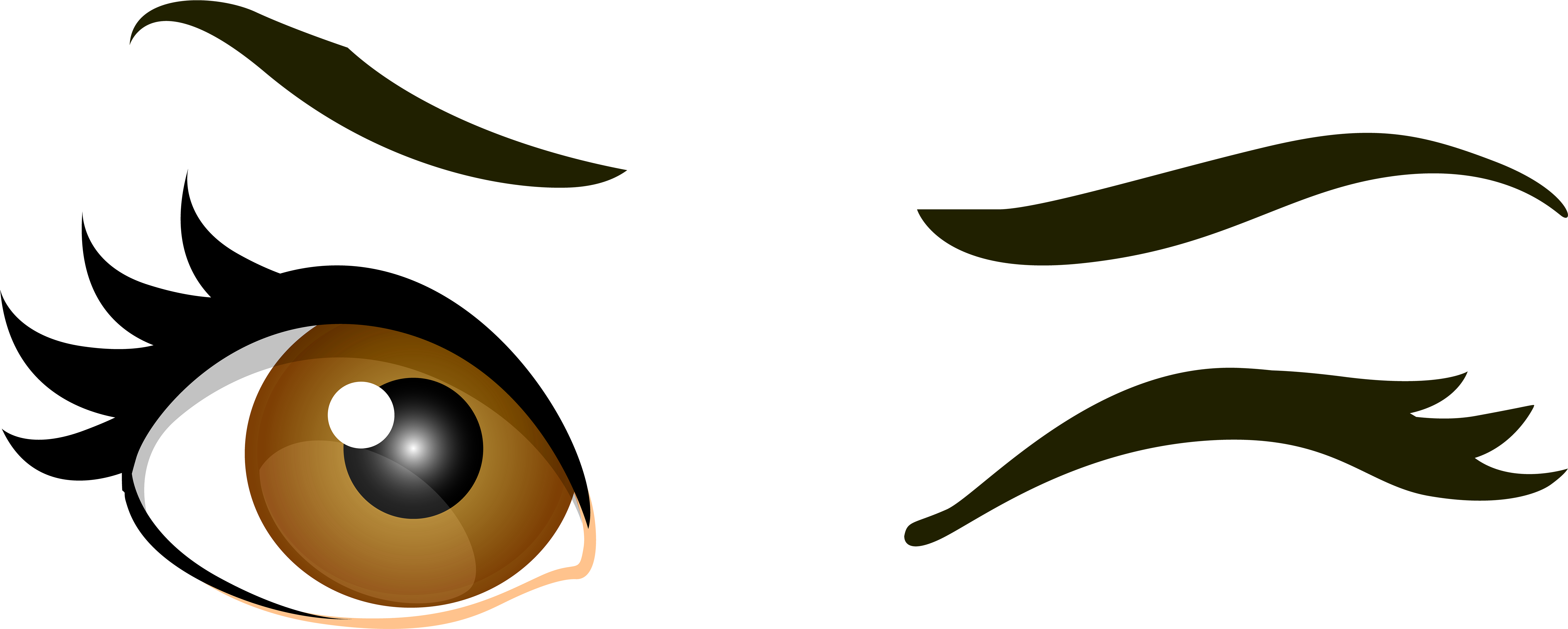 Brown Winking Eyes Png Clip Art Best Ⓒ - Human Eye Eyes Clipart Transparent Png (7000x2809), Png Download