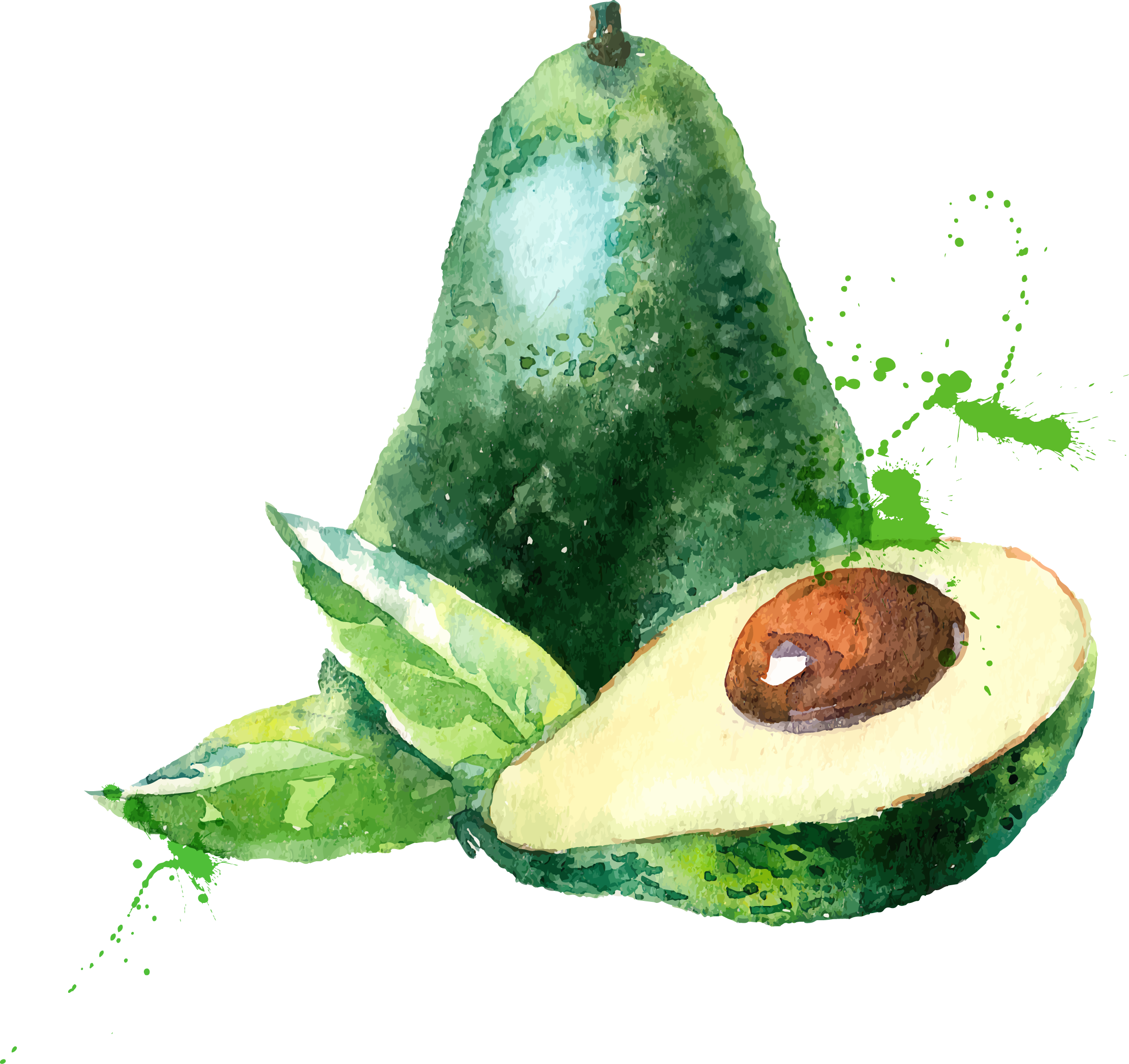 Collection Of Free Avocado Drawing Watercolor Download - Eat Seasonal April Clipart (2221x2094), Png Download