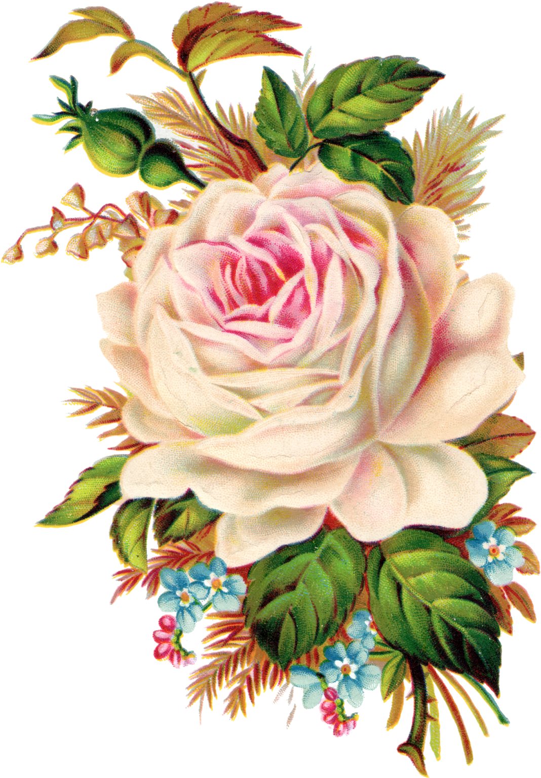 Neste Blog Você Poderá Encontrar Lindas Imagens No - Royalty Free Vintage Flower Clipart (1237x1600), Png Download