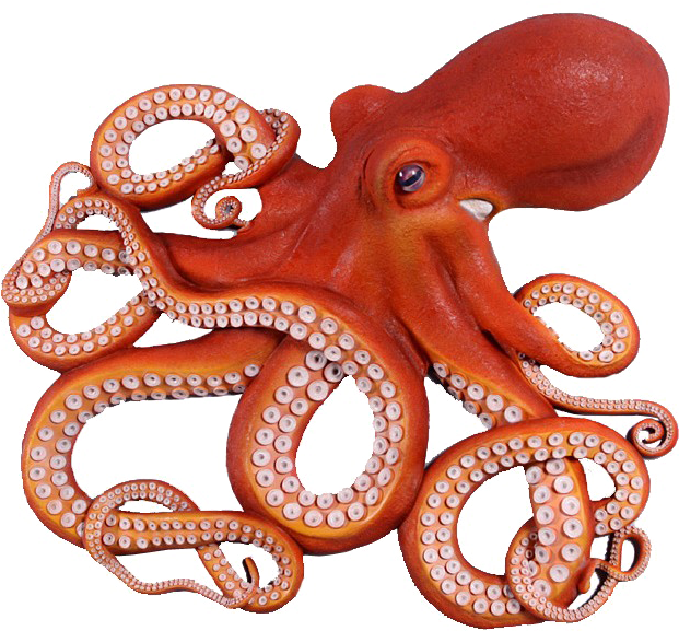 Octopus Png Photo - Octopus Png Clipart (620x620), Png Download