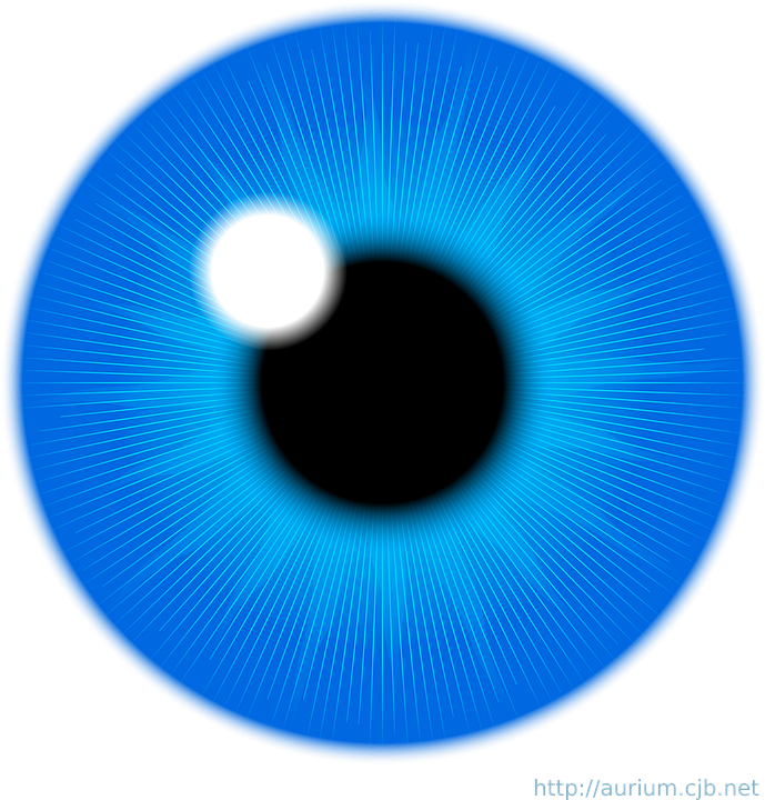 Blue Eyes Clipart Human Eye - Eye Iris Clipart - Png Download (689x720), Png Download