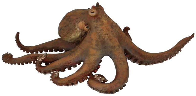 Octopus Png Transparent - Papo Octopus Clipart (800x600), Png Download