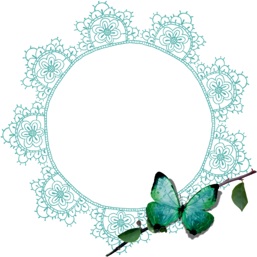 Mq Green Lace Butterfly Frame Frames Border Borders Clipart (844x843), Png Download