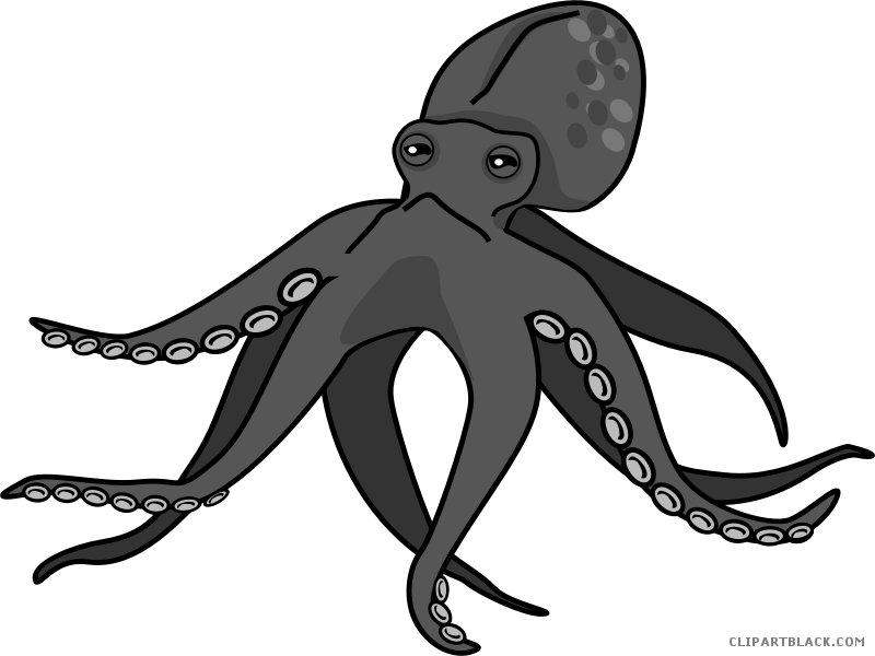 Octopus Clip Art Black And White - Transparent Background Octopus Clip Art - Png Download (800x600), Png Download