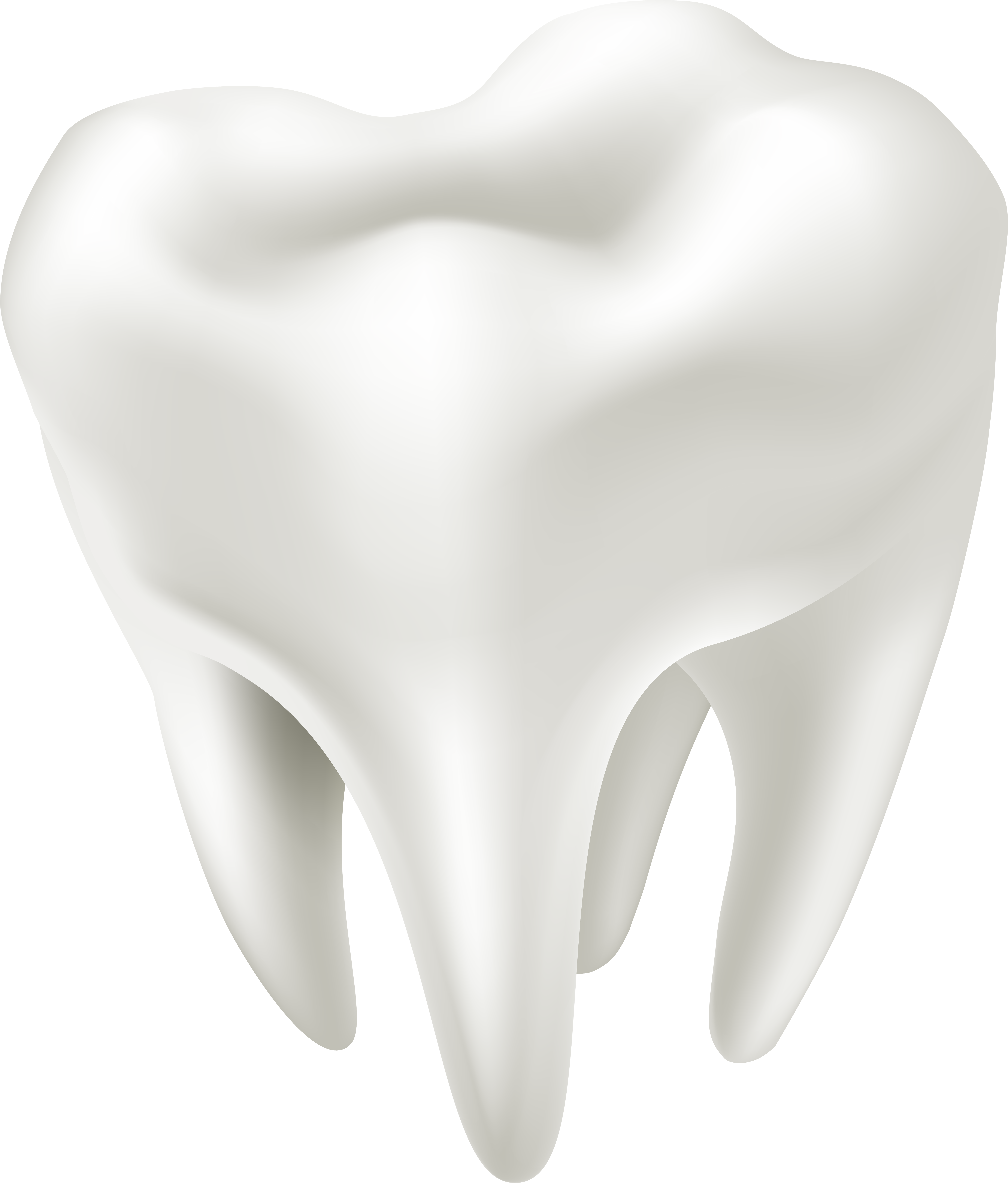 3d White Tooth Png Clip Art Transparent Png (6890x8000), Png Download