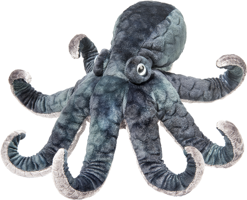 Winky Octopus Clipart (1000x1000), Png Download