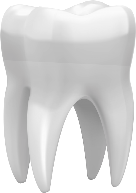 Free Png Download 3d Tooth Clipart Png Photo Png Images - 3d Tooth Hd Transparent Png (480x667), Png Download