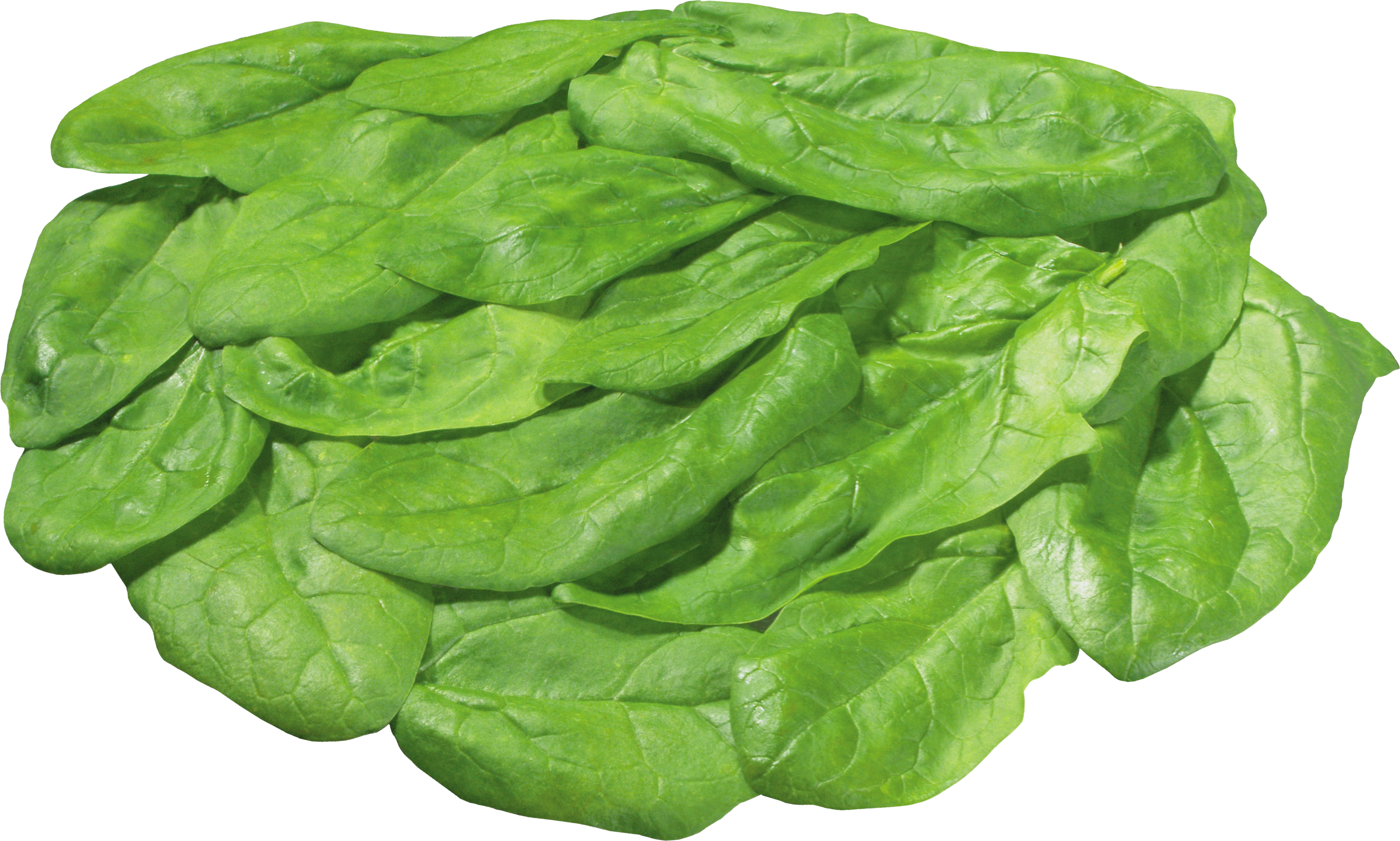 Salad - Piece Of Lettuce Transparent Clipart (3000x1803), Png Download